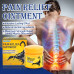 Pain Relief Ointment 20g